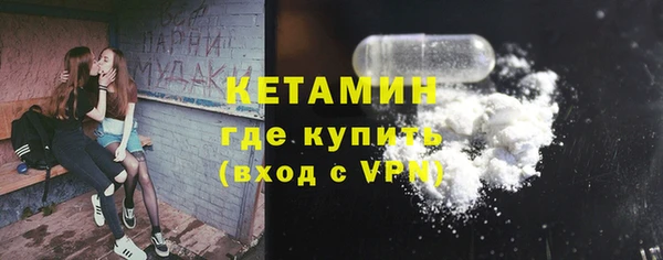 шишки Новодвинск