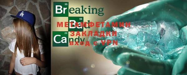 сатива Новозыбков