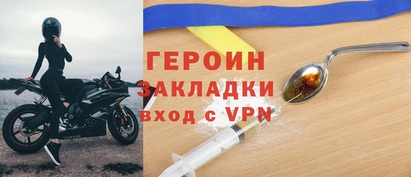 сатива Новозыбков