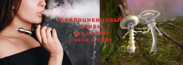 сатива Новозыбков