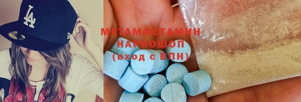 сатива Новозыбков