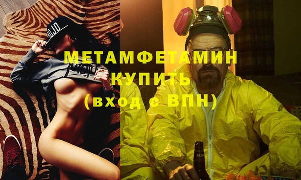 сатива Новозыбков