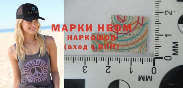 сатива Новозыбков