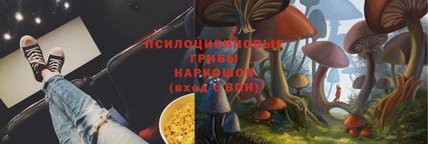 спиды Новокубанск