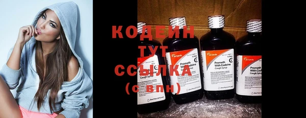 шишки Новодвинск
