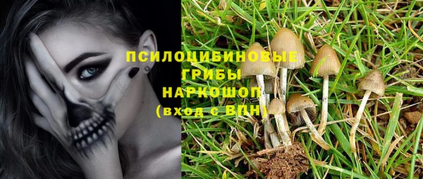 спиды Новокубанск