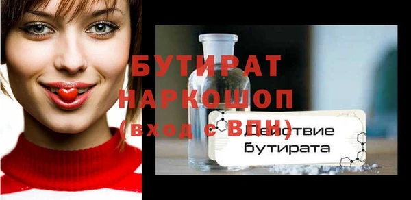 сатива Новозыбков