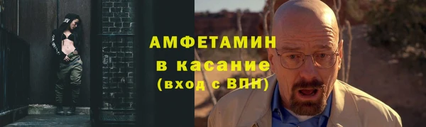 сатива Новозыбков