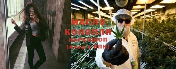 сатива Новозыбков