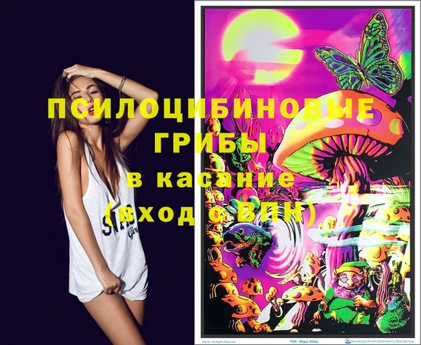 спиды Новокубанск