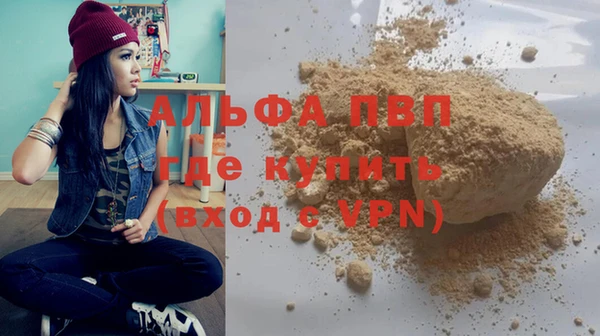 спиды Новокубанск