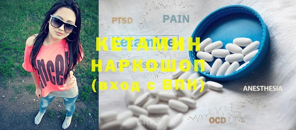 шишки Новодвинск