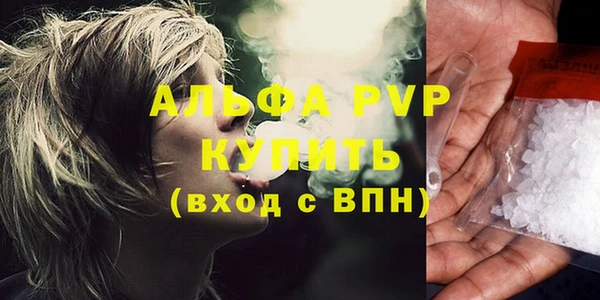 шишки Новодвинск