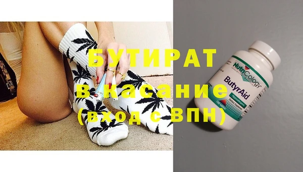 шишки Новодвинск