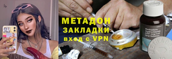 сатива Новозыбков
