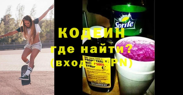 сатива Новозыбков
