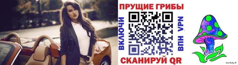 Псилоцибиновые грибы MAGIC MUSHROOMS  сколько стоит  blacksprut маркетплейс  Пыталово 
